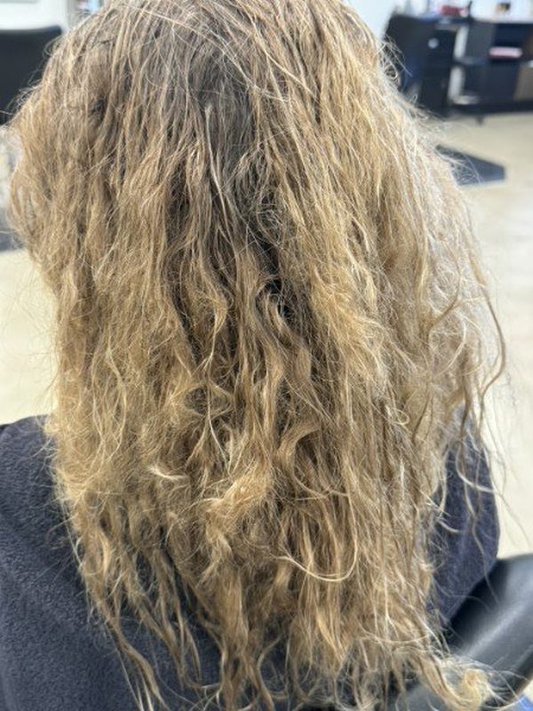 Before: damaged, frizzy blonde hair